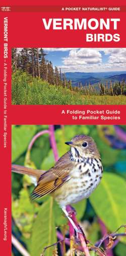 Vermont Birds - A Pocket Naturalist Guide