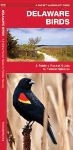 Delaware Birds - Pocket Guide