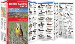 North Dakota Birds