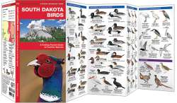 South Dakota Birds