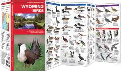 Wyoming Birds