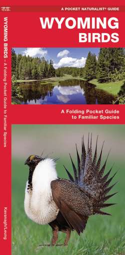 Wyoming Birds - A Pocket Naturalist Guide