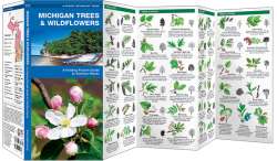 Michigan Trees & Wildflowers