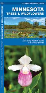 Minnesota Trees & Wildflowers - Pocket Guide