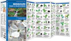 Missouri Trees & Wildflowers - A Pocket Naturalist Guide