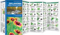Oklahoma Trees & Wildflowers - A Pocket Naturalist Guide