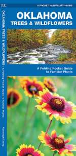Oklahoma Trees & Wildflowers - Pocket Guide