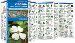 Virginia Trees & Wildflowers - A Pocket Naturalist Guide