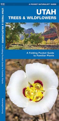 Utah Trees & Wildflowers - A Pocket Naturalist Guide
