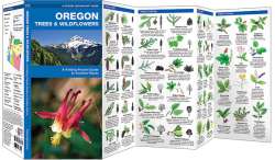 Oregon Trees & Wildflowers - A Pocket Naturalist Guide