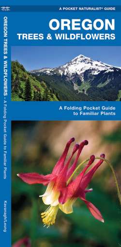 Oregon Trees & Wildflowers - A Pocket Naturalist Guide
