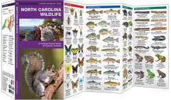 North Carolina Wildlife