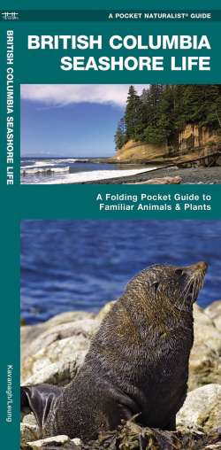British Columbia Seashore Life - A Pocket Naturalist Guide