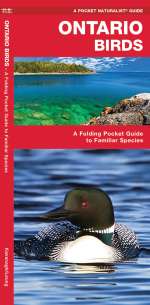 Ontario Birds - Pocket Guide