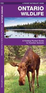 Ontario Wildlife - Pocket Guide