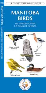 Manitoba Birds - Pocket Guide