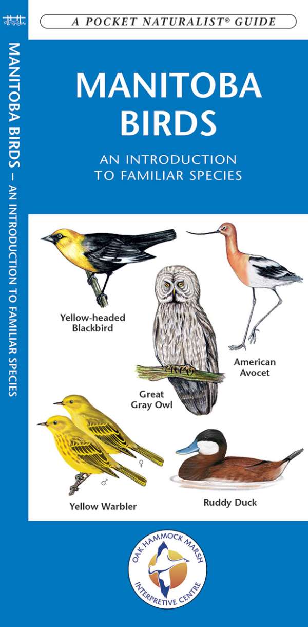 Manitoba Birds Pocket Guide
