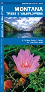 Montana Trees & Wildflowers - Pocket Guide