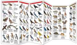 Illinois Wildlife