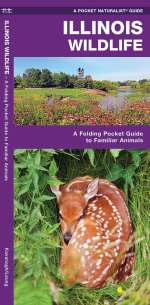 Illinois Wildlife - A Pocket Naturalist Guide (9781583552964)