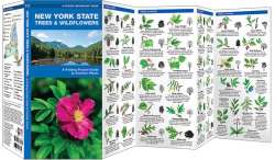 New York State Trees & Wildflowers