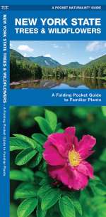 New York State Trees & Wildflowers - Pocket Guide