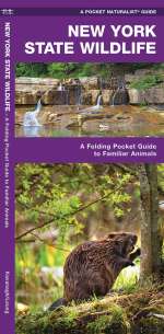 New York State Wildlife - Pocket Guide