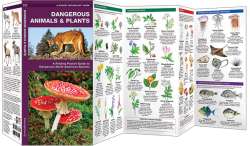 Dangerous Animals & Plants