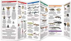 Dangerous Animals & Plants