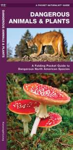 Dangerous Animals & Plants - Pocket Guide