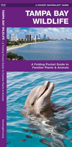 Tampa Bay Wildlife - A Pocket Naturalist Guide