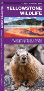 Yellowstone Wildlife - Pocket Guide