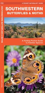 Southwestern Butterflies & Moths - Pocket Guide
