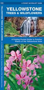 Yellowstone Trees & Wildflowers - Pocket Guide