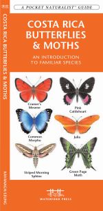 Costa Rica Butterflies & Moths - Pocket Guide