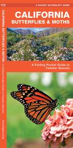 California Butterflies & Moths - Pocket Guide