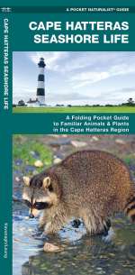 Cape Hatteras Seashore Life - Pocket Guide