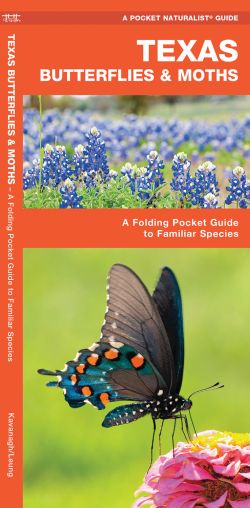 Texas Butterflies & Moths - A Pocket Naturalist Guide