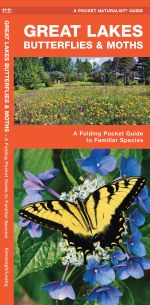 Great Lakes Butterflies & Moths - Pocket Guide