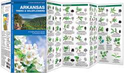 Arkansas Trees & Wildflowers - A Pocket Naturalist Guide