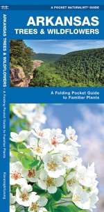 Arkansas Trees & Wildflowers - A Pocket Naturalist Guide (9781583554043)