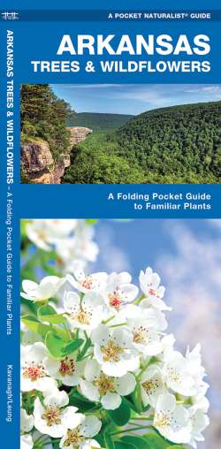 Arkansas Trees & Wildflowers - A Pocket Naturalist Guide