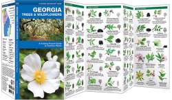 Georgia Trees & Wildflowers