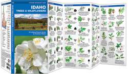 Idaho Trees & Wildflowers