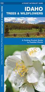 Idaho Trees & Wildflowers - Pocket Guide