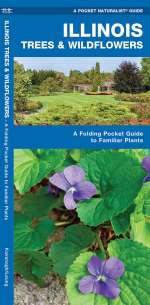 Illinois Trees & Wildflowers - A Pocket Naturalist Guide (9781583554081)