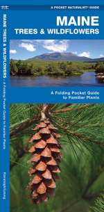 Maine Trees & Wildflowers - A Pocket Naturalist Guide (9781583554111)