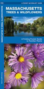 Massachusetts Trees & Wildflowers - Pocket Guide