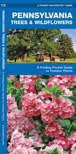 Pennsylvania Trees & Wildflowers - Pocket Guide