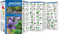 Wisconsin Trees & Wildflowers